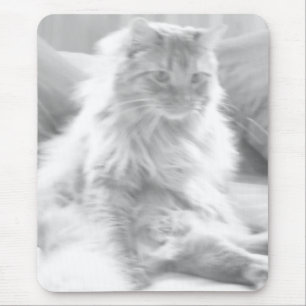 Orange Tabby Kitten/Black & White Photography Mouse Mat
