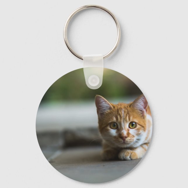 Orange tabby kitten. key ring (Front)