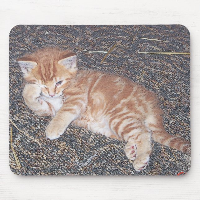Orange Tabby Kitten Mouse Mat (Front)