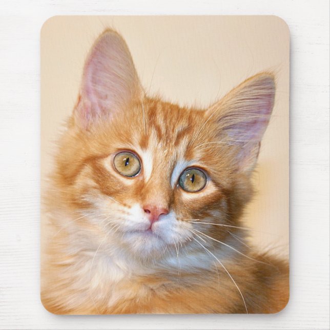 Orange tabby kitten mouse mat (Front)