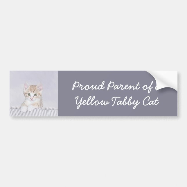 Orange Tabby Kitten Painting - Original Cat Art Bumper Sticker (Front)