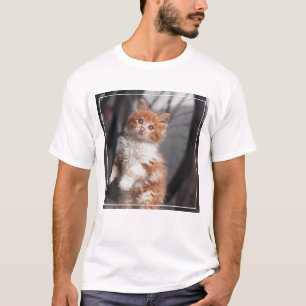 Orange Tabby Kitten T-Shirt