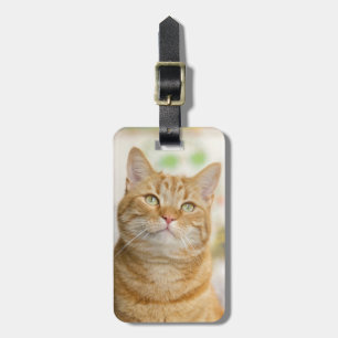 Orange Tabby Kitty Cat Luggage Tag