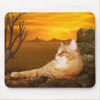 Orange tabby lazes in the sun mouse mat