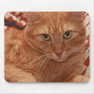 Orange Tabby Mouse Mat