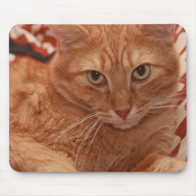 Orange Tabby Mouse Mat (Front)