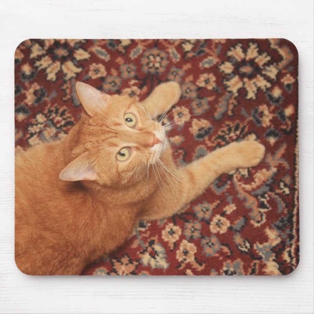 Orange Tabby Mouse Mat (Front)