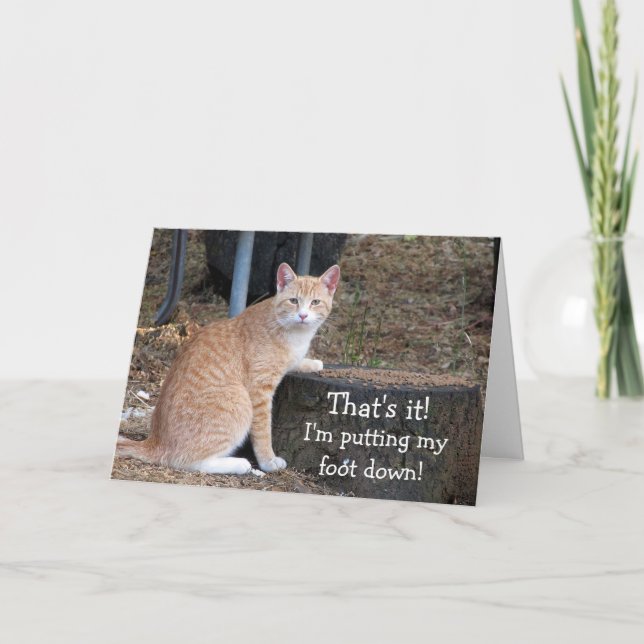 Orange Tabby Putting Foot Down Birthday Card (Front)