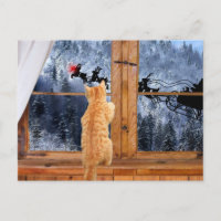 Orange tabby red dot Christmas