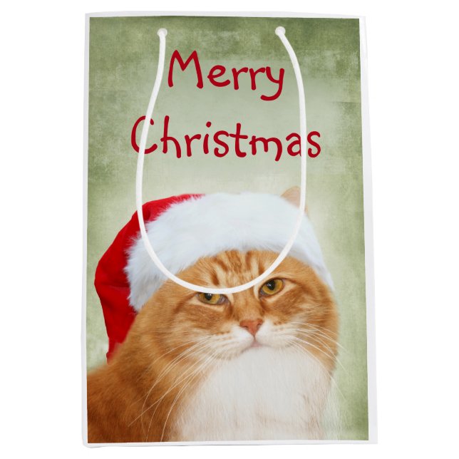 Orange Tabby Santa Claus Medium Gift Bag (Front)