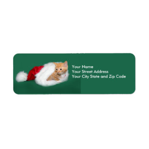 Orange tabby Santa hat
