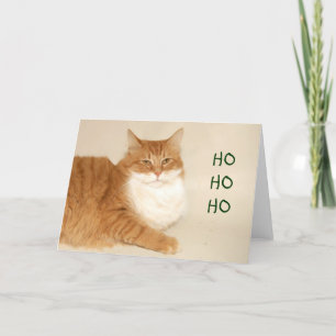 Orange tabby Santa Holiday Card