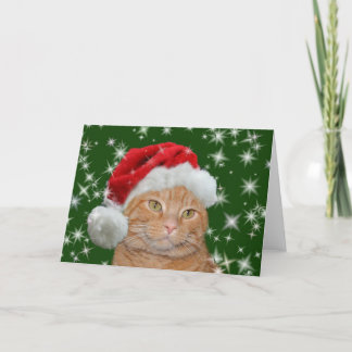 Orange tabby Santa Holiday Card