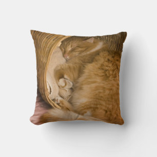 Orange tabby sleeping in hamper cushion