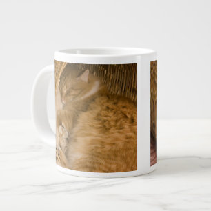 Orange tabby sleeping in hamper large coffee mug