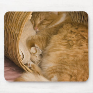 Orange tabby sleeping in hamper mouse mat