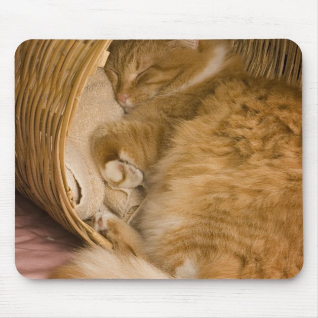 Orange tabby sleeping in hamper mouse mat (Front)