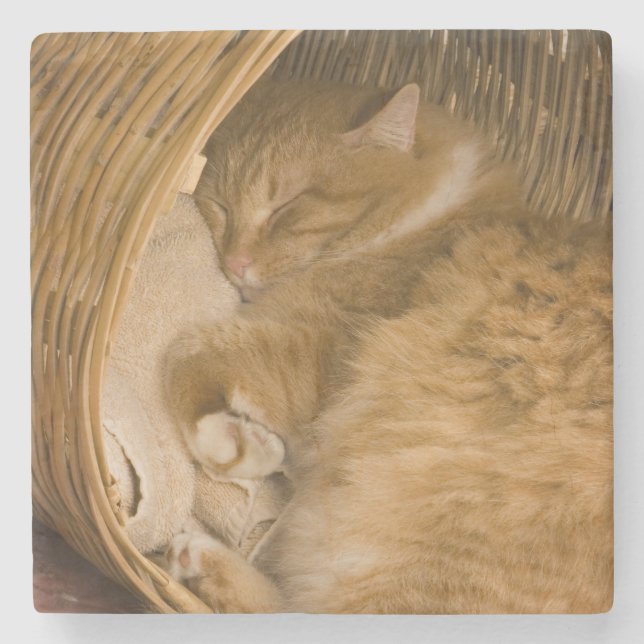 Orange tabby sleeping in hamper stone coaster (Front)
