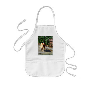 Orange Tabby Taking a Walk Kids Apron