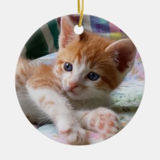 Orange Tabby & White Kitten Ornament