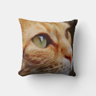 Orange Tabby with Green Eyes Custom Cushion