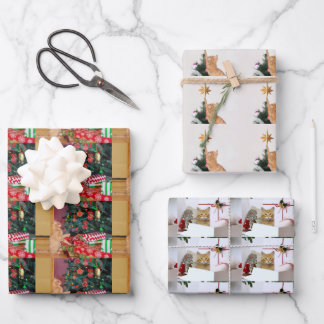 Orange Tabby Wrapping Paper Flat Sheet Set of 3