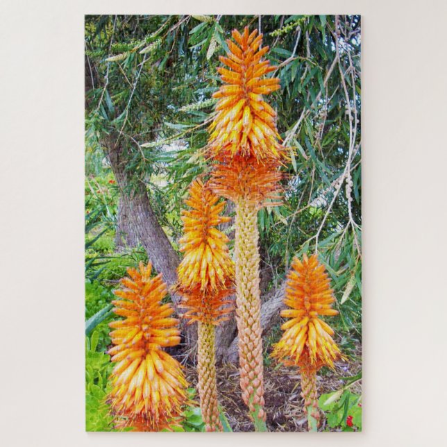 Orange Tall Hot Poker Flowers, Jigsaw Puzzle (Vertical)
