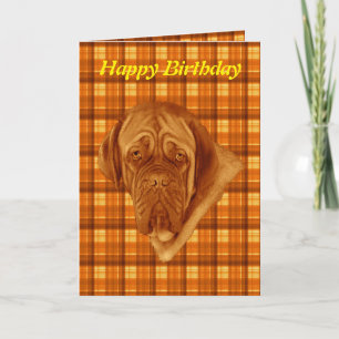 Orange Tartan French Bordeaux Dog, Birthday Card, Card