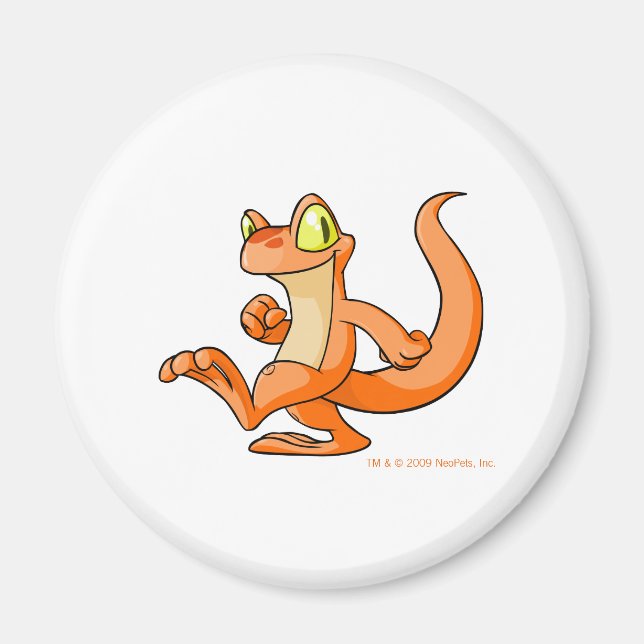 Orange Techo on a quest Magnet (Front)