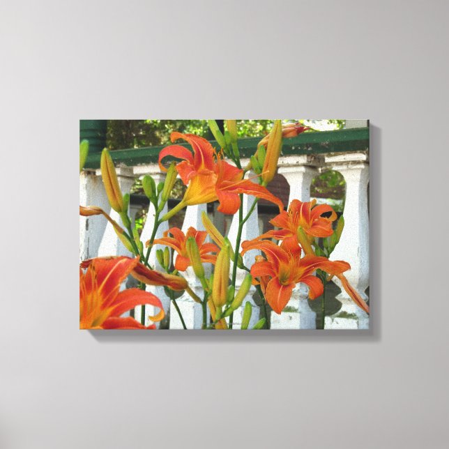 Orange Tiger Lilies - Martha's Vineyard Canvas Print (Front)