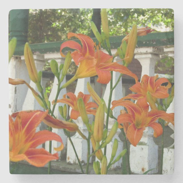 Orange Tiger Lilies - Martha's Vineyard Stone Coaster (Front)