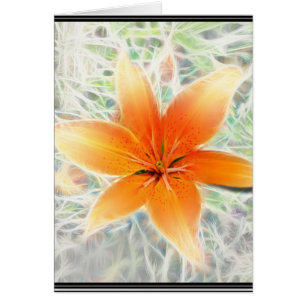 Orange Tiger Lily