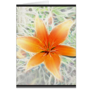 Orange Tiger Lily