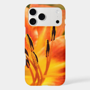 Orange Tiger Lily