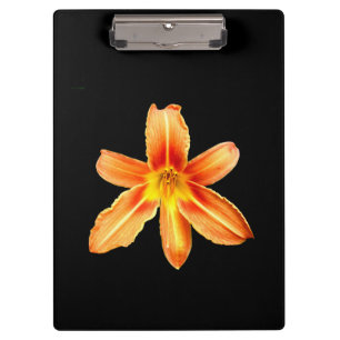 Orange Tiger Lily Clipboard