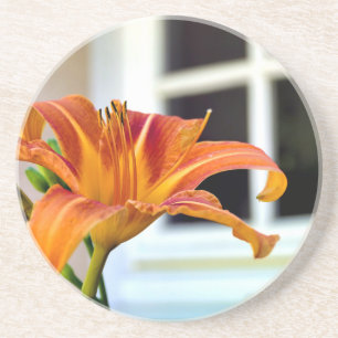 Orange Tiger Lily Coaster
