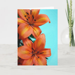 Orange tiger lily flowers greeting card