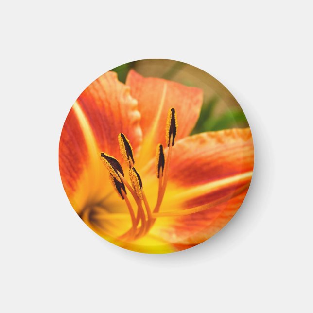 Orange Tiger Lily Magnet (Front)