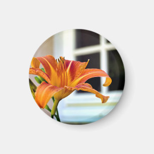 Orange Tiger Lily Magnet