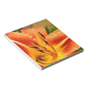 Orange Tiger Lily Notepad