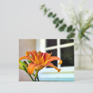 Orange Tiger Lily Postcard