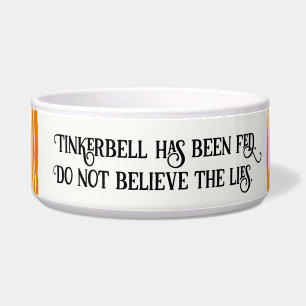 Orange Tiger Striped Cat Has Been Fed