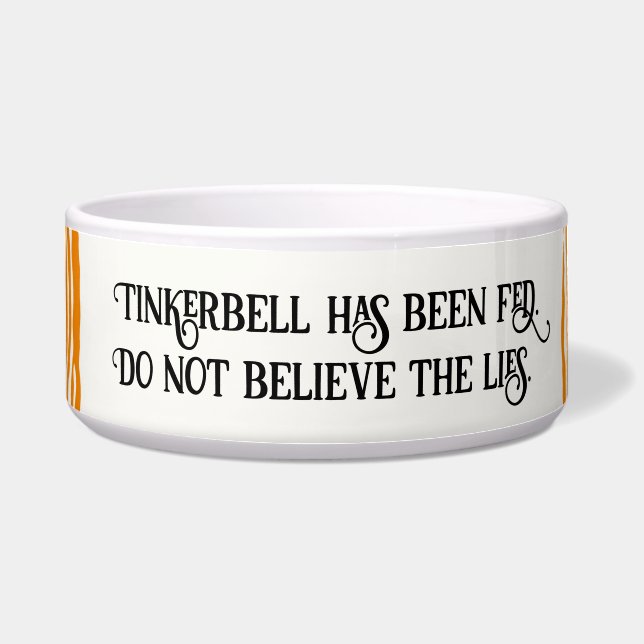 Orange Tiger Striped Cat Has Been Fed (Front)