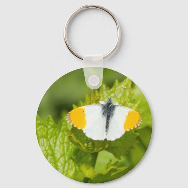 Orange Tip butterfly Key Ring (Front)