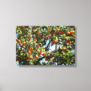 Orange tree canvas print