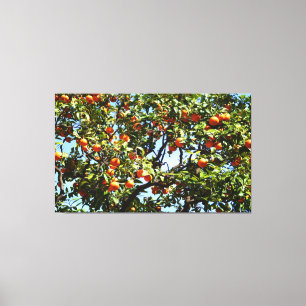 Orange tree canvas print