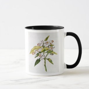 Orange tree flower, from 'La Guirlande de Julie' Mug
