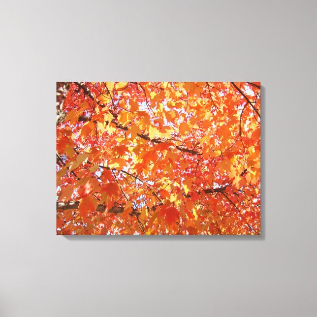 Orange Tree Leaves art prints gifts Fall Landscape (Front)