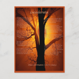 Orange Tree Postcard