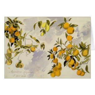 Orange Trees, 1863 (w/c, pen and ink over graphite